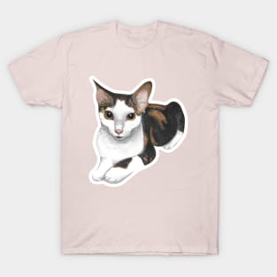 Heather Cute Calico Tabby Cat Watercolor T-Shirt